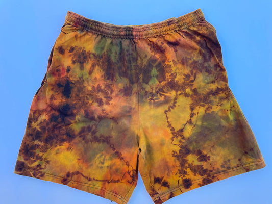 Desert Shorts - Large 1